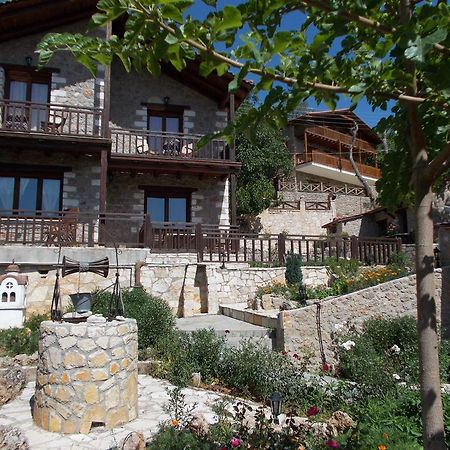 Theasis Suites-Ορεινή Φιλοξενία Kato Sinikia Trikalon Exterior photo