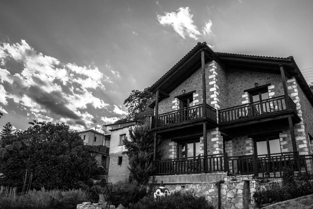 Theasis Suites-Ορεινή Φιλοξενία Kato Sinikia Trikalon Exterior photo