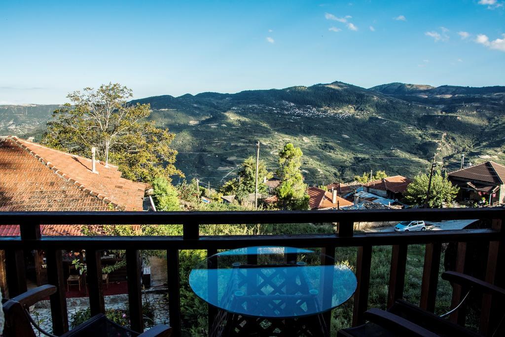 Theasis Suites-Ορεινή Φιλοξενία Kato Sinikia Trikalon Exterior photo